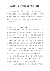 公司审计个人工作计划【推荐4篇】