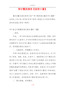 审计整改报告【实用5篇】