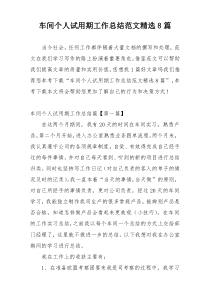 车间个人试用期工作总结范文精选8篇