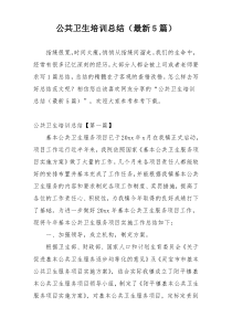 公共卫生培训总结（最新5篇）