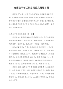 仓库上半年工作总结范文精选5篇