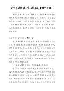 公务员试用期工作总结范文【通用4篇】