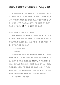销售试用期转正工作总结范文【参考4篇】