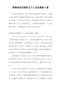 销售部试用期转正个人总结最新4篇