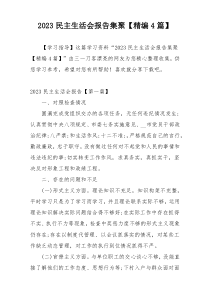 2023民主生活会报告集聚【精编4篇】