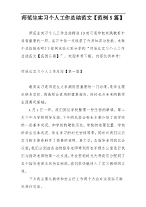 师范生实习个人工作总结范文【范例5篇】