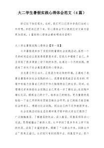 大二学生暑假实践心得体会范文（4篇）