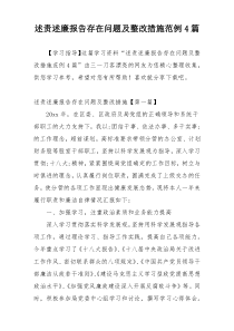 述责述廉报告存在问题及整改措施范例4篇