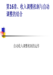 第16章  收入调整机制与自动调整的综合