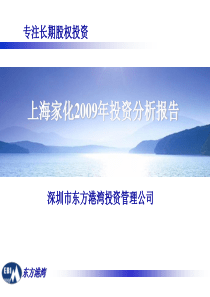 上海家化投资分析报告