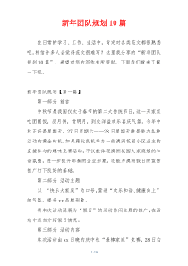 新年团队规划10篇