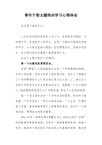 青年干部主题培训学习心得体会