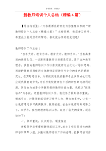 新教师培训个人总结（精编4篇）