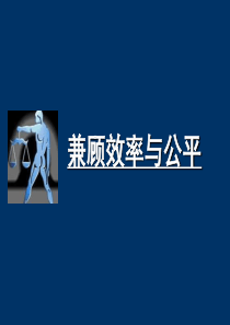 第七课 个人的收入与分配 第二框