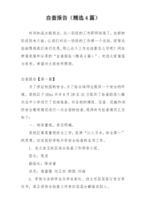 自查报告（精选4篇）