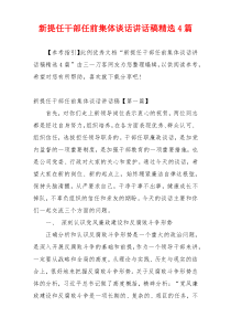 新提任干部任前集体谈话讲话稿精选4篇