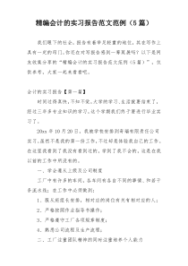 精编会计的实习报告范文范例（5篇）
