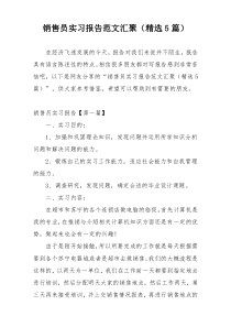 销售员实习报告范文汇聚（精选5篇）