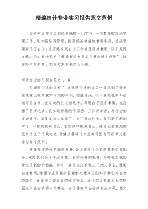 精编审计专业实习报告范文范例