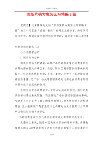 市场营销方案怎么写精编3篇