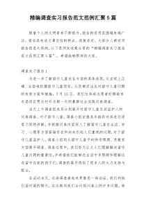 精编调查实习报告范文范例汇聚5篇