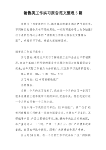 销售类工作实习报告范文整理5篇