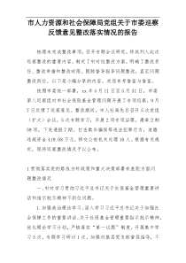 市人力资源和社会保障局党组关于市委巡察反馈意见整改落实情况的报告