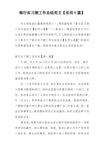 银行实习期工作总结范文【实用5篇】