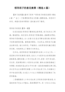 领导班子的意见集聚（精选4篇）