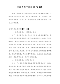 公司人员工作计划【4篇】
