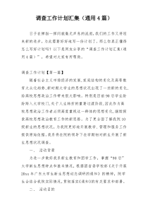 调查工作计划汇集（通用4篇）