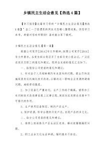 乡镇民主生活会意见【热选4篇】