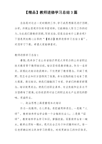 【精品】教师进修学习总结3篇