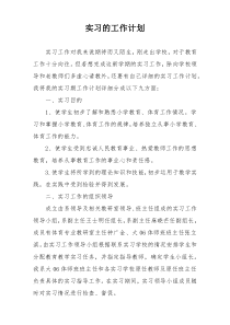 实习的工作计划