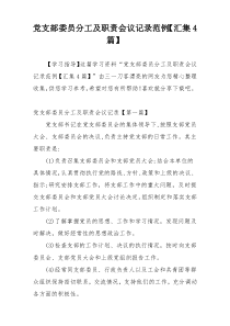 党支部委员分工及职责会议记录范例【汇集4篇】