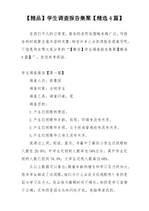 【精品】学生调查报告集聚【精选4篇】