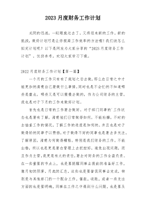 2023月度财务工作计划
