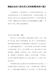 精编总结实习报告范文范例集聚【推荐5篇】