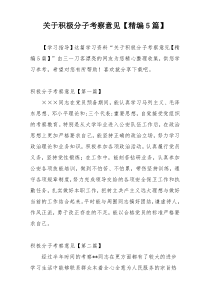 关于积极分子考察意见【精编5篇】