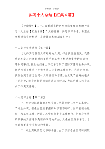 实习个人总结【汇集4篇】