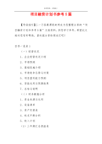 项目融资计划书参考5篇