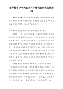 老师铸牢中华民族共同体意识发声亮剑最新4篇