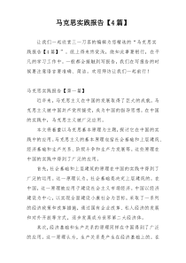 马克思实践报告【4篇】