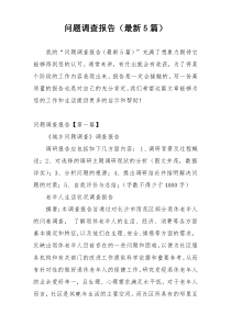 问题调查报告（最新5篇）