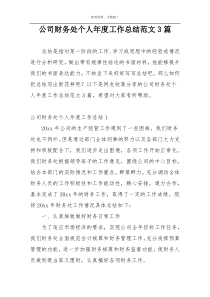 公司财务处个人年度工作总结范文3篇