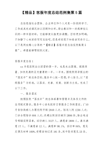 【精品】客服年度总结范例集聚5篇