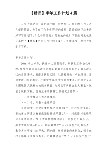 【精品】半年工作计划4篇