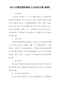 2023志愿者国际残疾人日活动方案(案例)