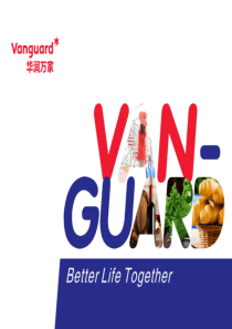 华润万家中税系统培训（PPT35页)