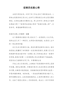 促销员实践心得